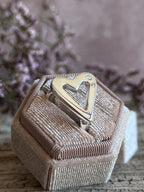 ANILLO VÍNCULO